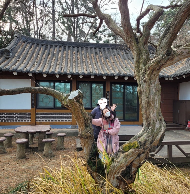  태안가족여행 2일차 천리포수목원 팜카밀레 허브농원 삼봉해수욕장 안면도자연휴양림 보령해저터널 대천 팔도강산해물뚝배기