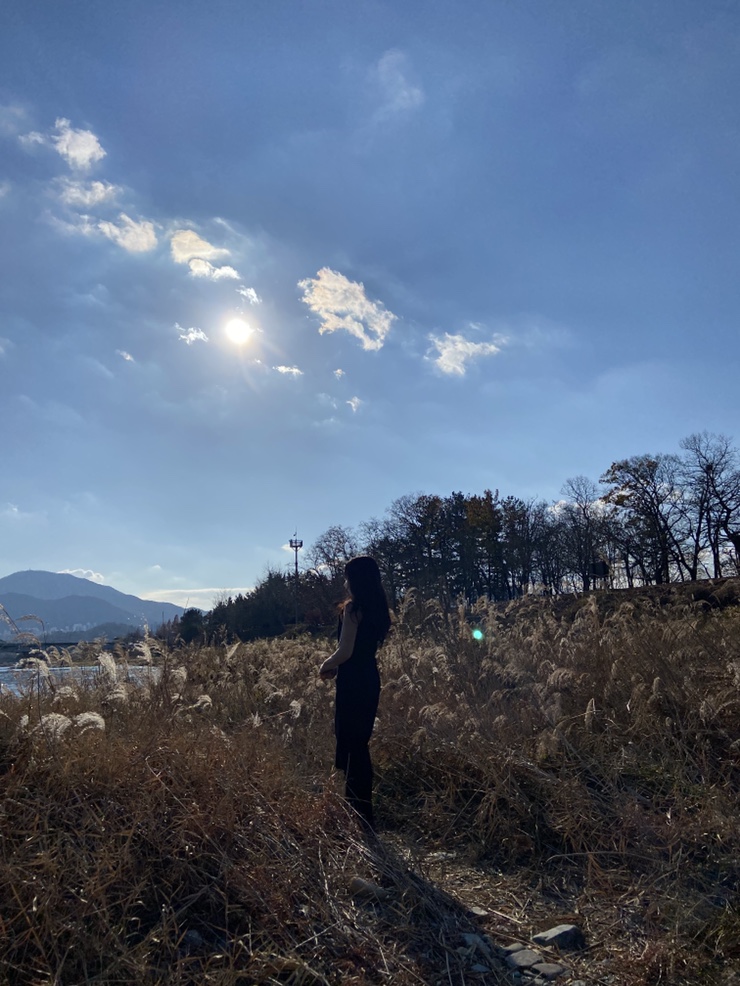  울산 3박 4일 여행기:) 1일차 하이에어타고 울산공항! 남보완 해물칼국수/ 선바위/ 태화강 근처 카페 울산 밤부에서 십리대숲 은하수 기다리기