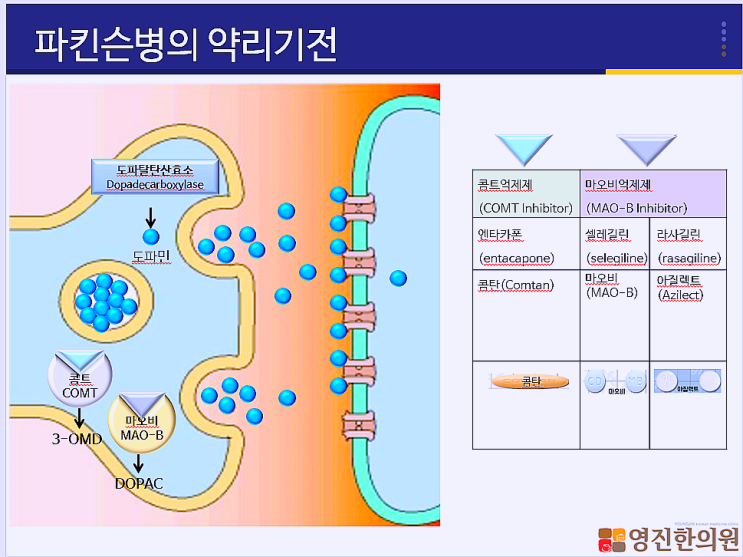  파킨슨병 떨림 서동 경직 운동성증상의 대처 및 관리를 위한 레보도파 보충요법 운동요법 언어치료 작업치료
