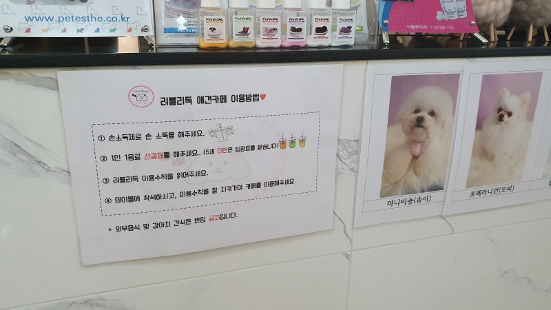 사진 8