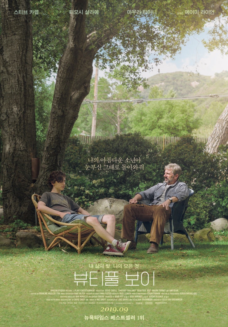  뷰티풀 보이 (2018)