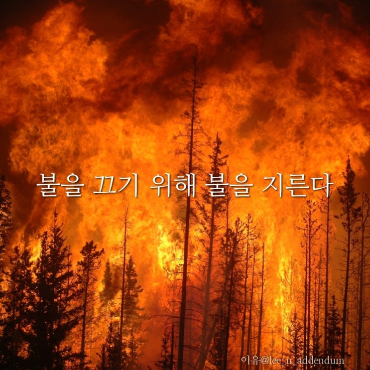  [에세이]불을 끄기 위해 불을 지른다