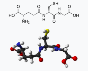 글루타치온(글루타티온)과 자가면역질환