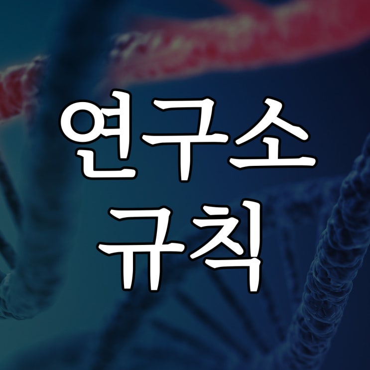  [나폴리탄] 연구소 규칙 / 소름 돋는 오싹한 이야기