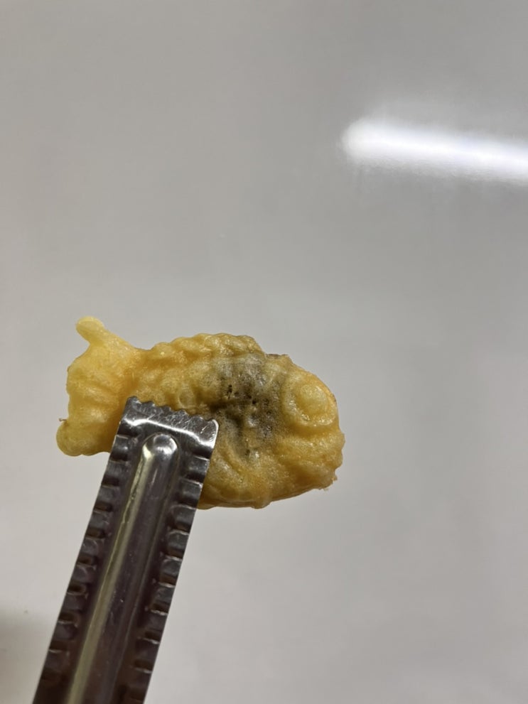  [천방지축 모먼트] 자취생이 붕어빵 먹는 법