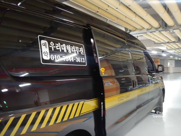  [치앙마이] 애견동반 태국 치앙마이 1년살기, 출발