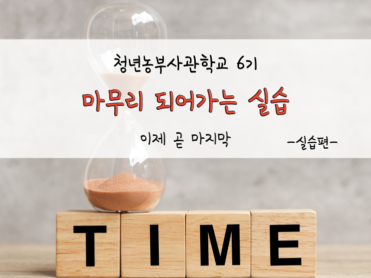  청년농부사관학교 6기_마무리 되어가는 실습들_211214
