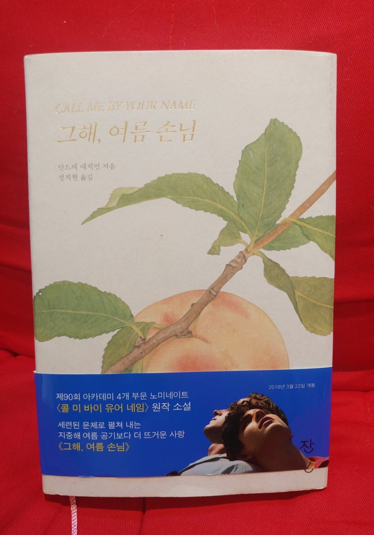  그해, 여름 손님