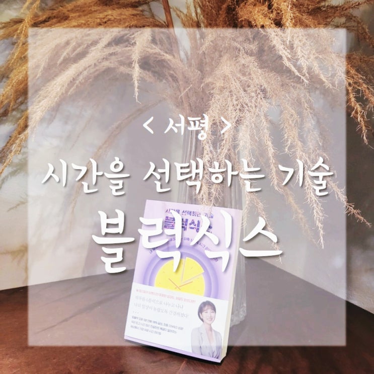  시간을 선택하는 기술, 블럭식스_시간 관리가 잘 안될 때 읽으면 도움이 되는 책