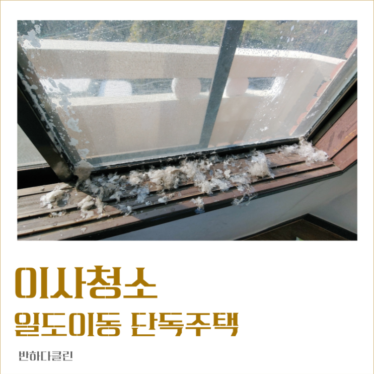  제주 이사청소 일도이동 단독주택 새단장청소 (반하다클린)