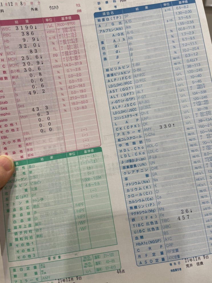  건강검진 혈청 아밀라제 수치가 높아 재검받은 후기:철분제 복용 후 부작용