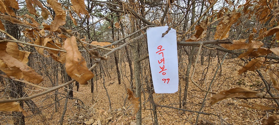 대남산 사진 4