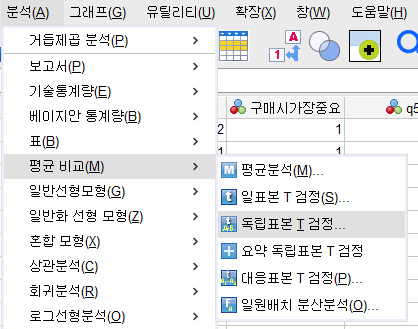  논문통계-spss 독립표본 t검정