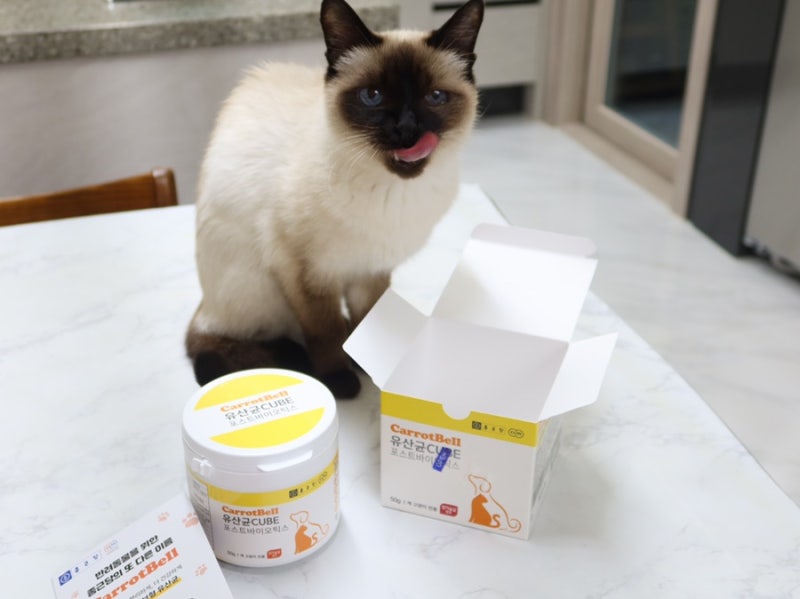 [종근당] 유산균추천! 캐롯벨 강아지/고양이 유산균 급여후기