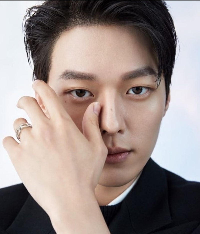 Actor Jang Ki-yong's Profile (Age, Height, Military Service, Enlistment) & Drama Appearances and Works