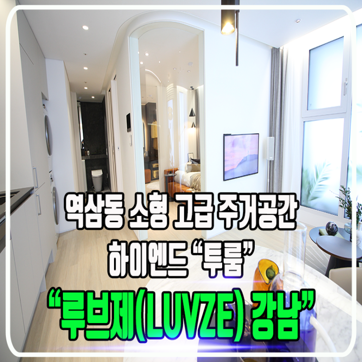  루브제(LUVZE) 강남 - 역삼동 고급 소형 하이엔드 다세대(공동주택) / 정보 및 타입소개