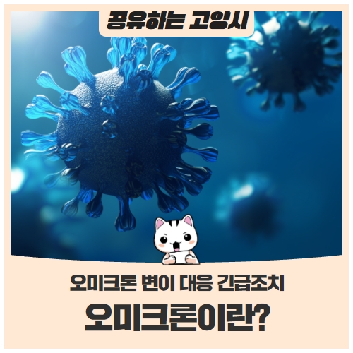 오미크론이란? 오미크론 변이 대응 긴급조치 오미크론이란? 오미크론 변이 대응 긴급조치
