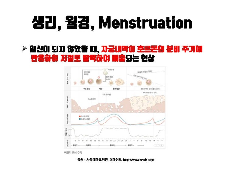  쌍꺼풀 수술 날짜와 생리기간이 겹쳐도 쌍수할 수 있어요. 반드시 수술을 연기 안 해도 된답니다!!!