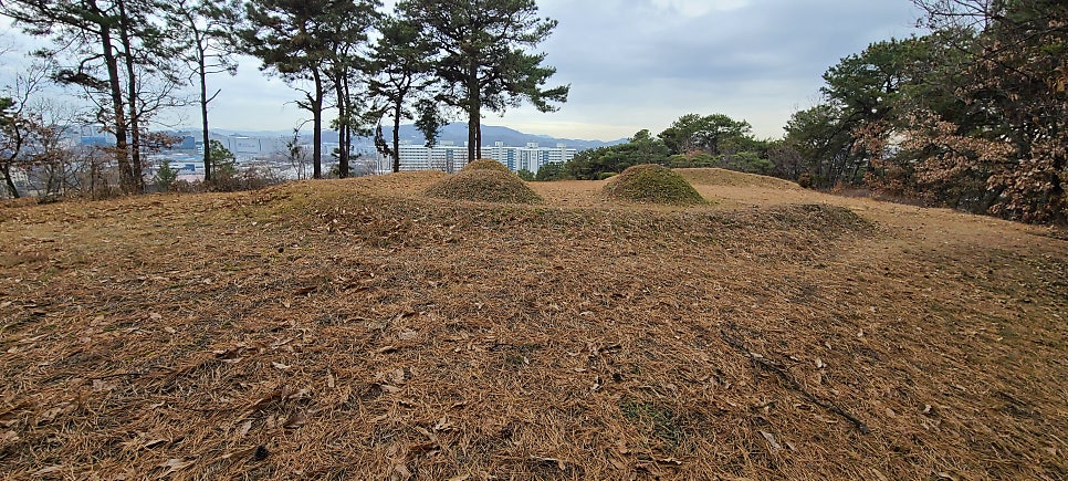 대남산 사진 5