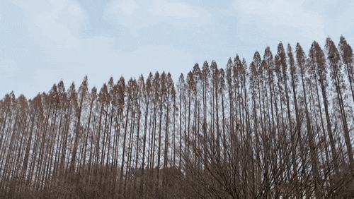  충남&전북 1박 2일 핫플여행_논산, 익산, 완주