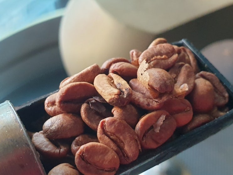  파나마 라에스메랄다 게이샤커피 영혼까지 행복해지는 향기에 반하다(Roasted by 차주연커피)