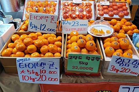 오늘청과2 이미지
