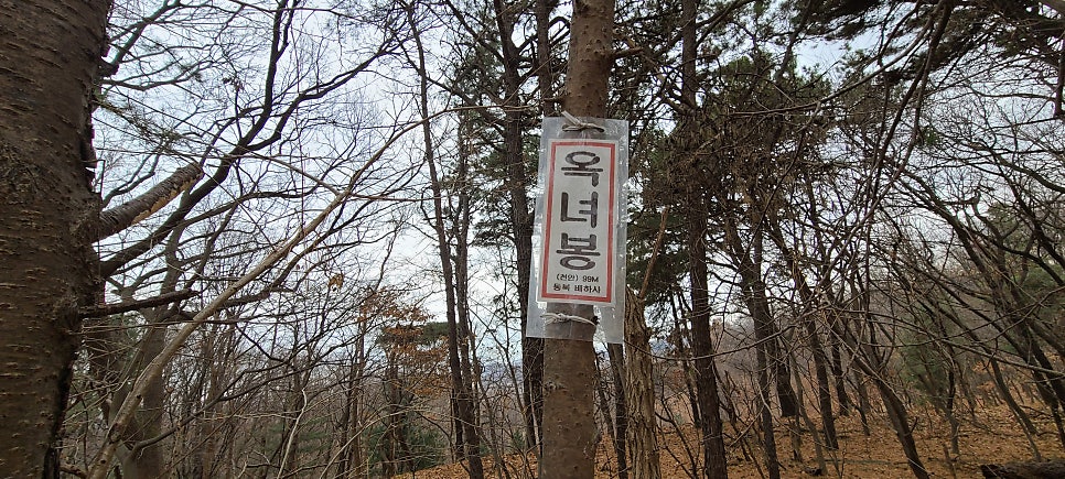 대남산 사진 3