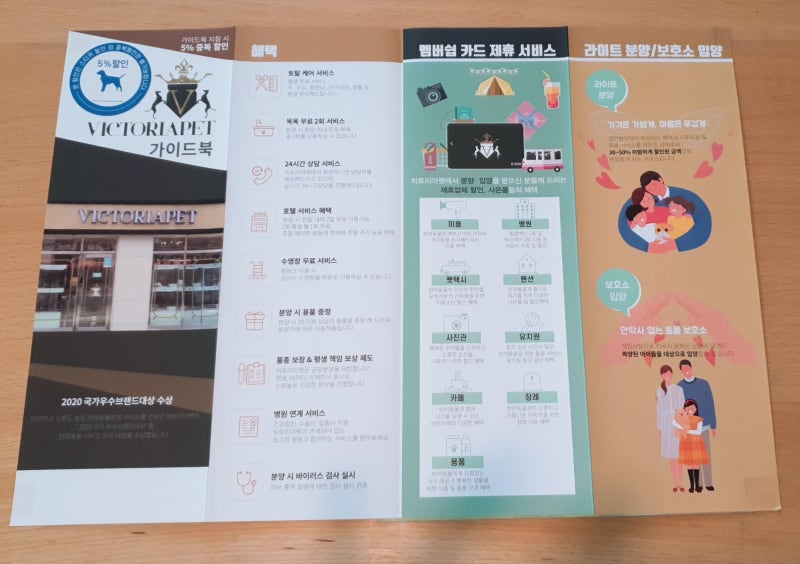 도그마루 부산점 애견 분양 후기 외동딸의 평생친구 맞이한 날 (블랙푸들 깜찍이~♡) : 네이버 블로그 도그마루 부산점 애견 분양 후기 외동딸의 평생친구 맞이한 날 (블랙푸들 깜찍이~♡) : 네이버 블로그