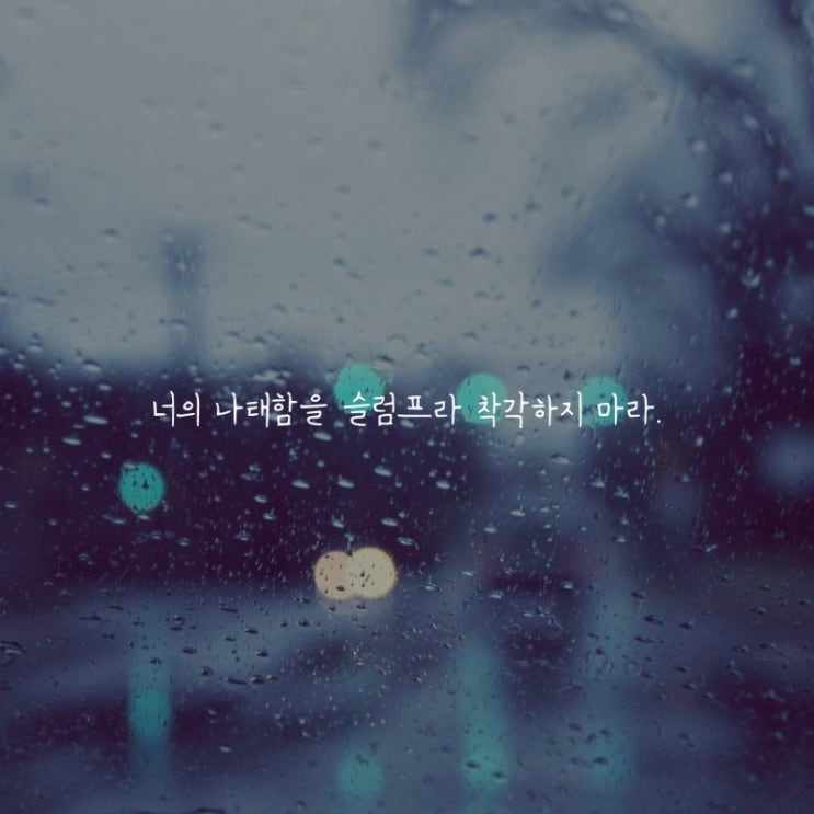  부거사이 [부동산 뉴스와 블로그] 12월 14일(화)