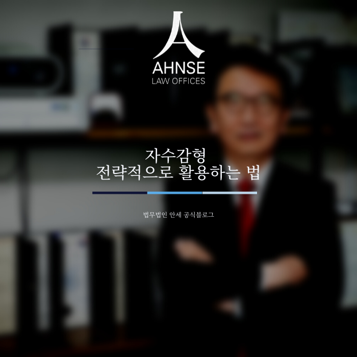  자수감형 전략적으로 활용하는 법
