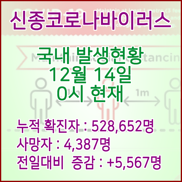  코로나19(코로나바이러스) 12월 14일 0시 신규확진자 5,567명 / 사망자 4,387명