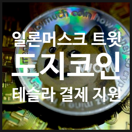  도지코인 시세 급등, 일론머스크 테슬라 결제 지원