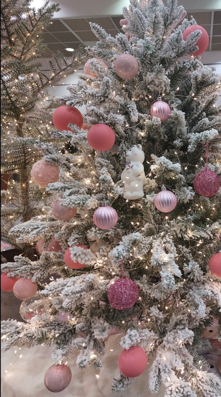 <Christmas> 크리스마스 날마다 크리스마스 내 안의 그리스도 내 안의 크리스마스 <Christmas> 크리스마스 날마다 크리스마스 내 안의 그리스도 내 안의 크리스마스