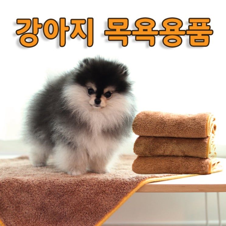  강아지 목욕 용품 바스몽에서 준비하면 좋은 제품!
