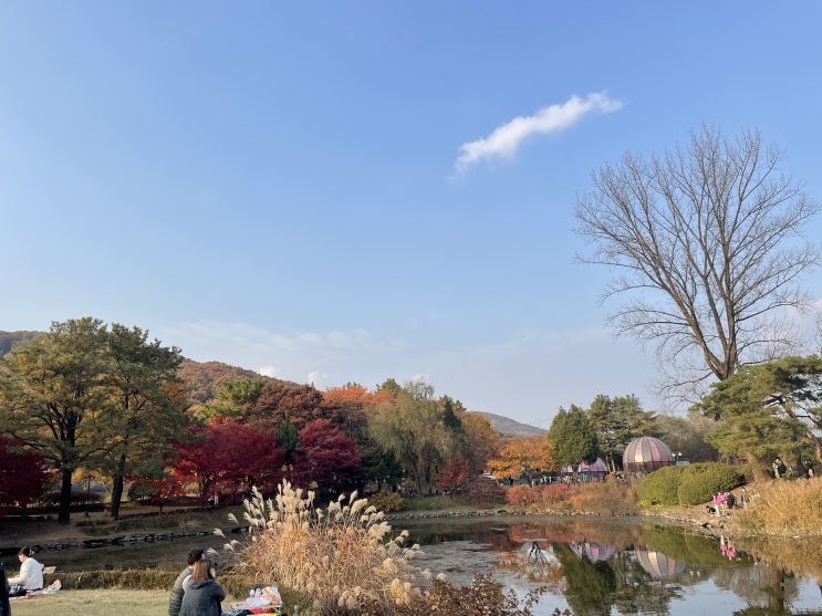 서울 근교 아이랑 함께 가기 좋은 포천 서운동산