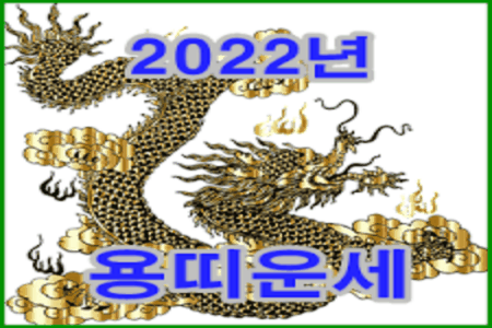 2022년 용띠운세 보기