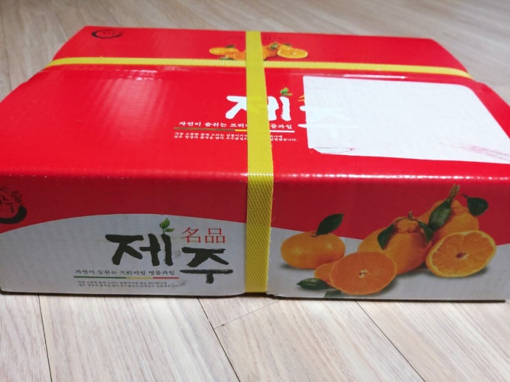 지금이 제철! 무착색귤, 무후숙귤, 제주조생귤 다양하게 즐기기 지금이 제철! 무착색귤, 무후숙귤, 제주조생귤 다양하게 즐기기