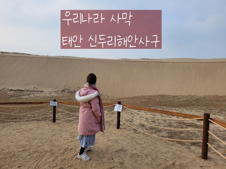  태안여행지 일몰보기도 좋은 우리나라사막 신두리해안사구