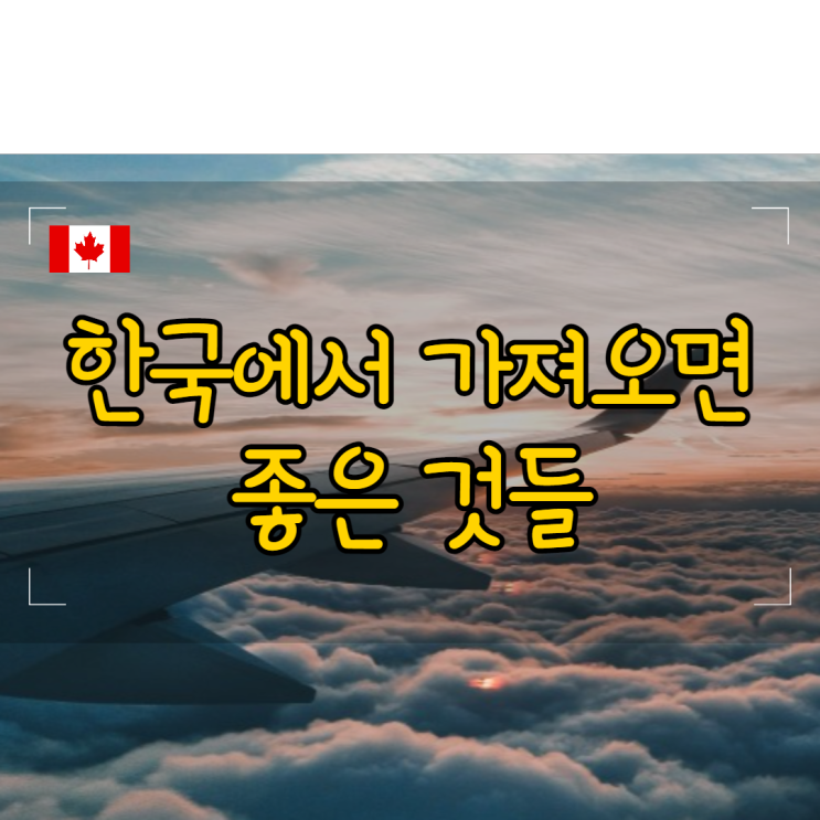 코시국에 캐나다로 출국하기 - 5. 한국에서 가져오면 좋은 것들 (+에어캐나다 수하물 기준)