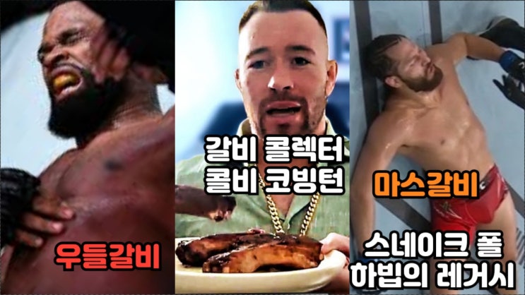 콜비 코빙턴: 갈비 수집 취미에 대해(+포기러 포이리에와 의심스러운 하빕의 레거시) 콜비 코빙턴: 갈비 수집 취미에 대해(+포기러 포이리에와 의심스러운 하빕의 레거시)