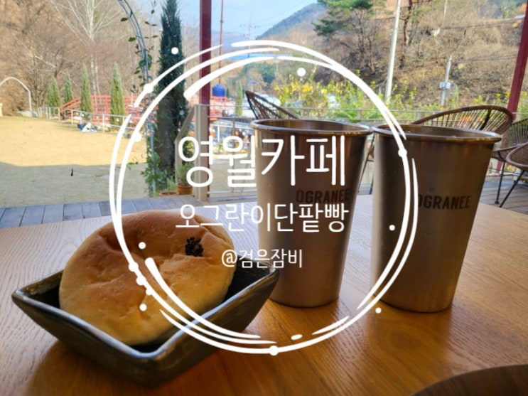  멍푸치노라고 들어는 보셨나? 반려동물 특별메뉴가 있는 영월 카페 오그란이 단팥빵!!! (feat. 전망 좋은 평창 카페 쏠비쥬)