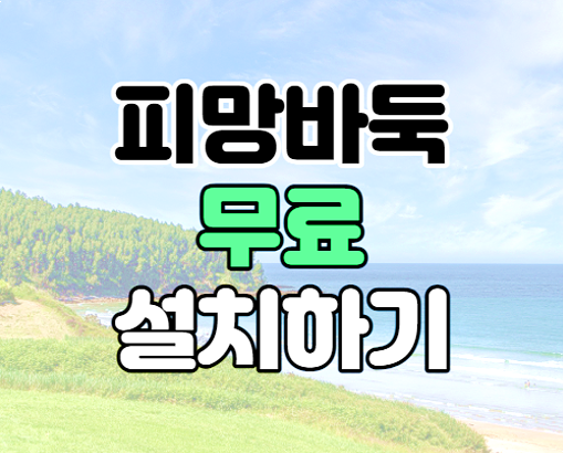 피망바둑 설치 다운로드 온라인 대국방법 피망바둑 설치 다운로드 온라인 대국방법