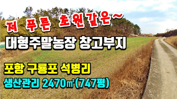 포항토지매매 구룡포 석병리 부동산대형 주말농장 창고부지로 추천
