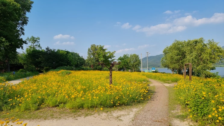  [다산 생태공원] 남양주 드라이브 데이트 코스 공원 추천