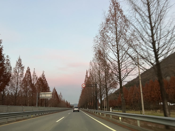  [전남 담양] 볼거리 먹거리