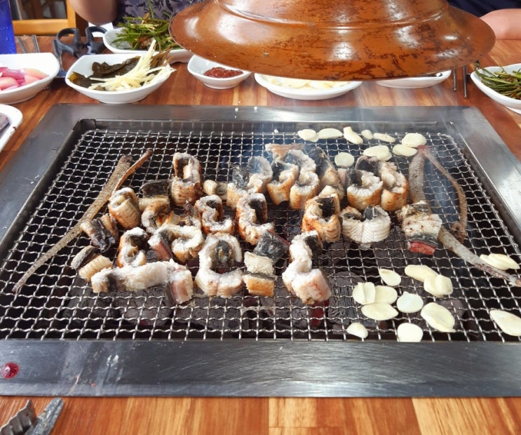 전북 고창 풍천장어 맛집 금단양만 내돈내산 후기, 고창고인돌박물관 관람 후기