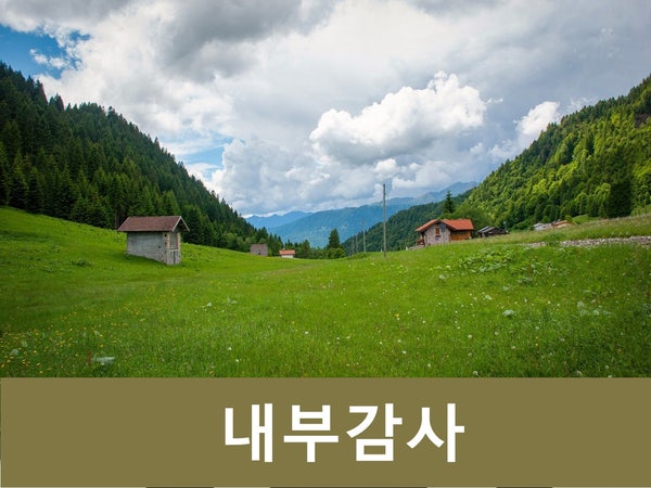  내부감사기구 운영 및 주요 책임