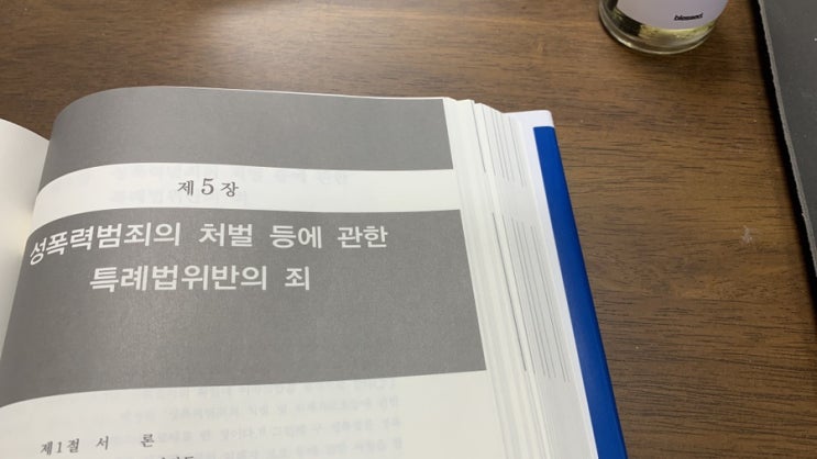  딥페이크 처벌 사례 사진 동영상 편집만 해도 성폭력범죄특례법 위반 가능(ft. 지인능욕 허위영상물 청소년범죄)