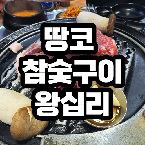  땅코참숯구이 왕십리 목살 맛집