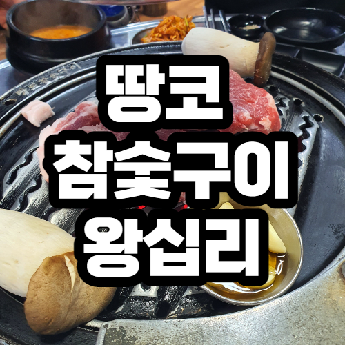 땅코참숯구이 왕십리 목살 맛집